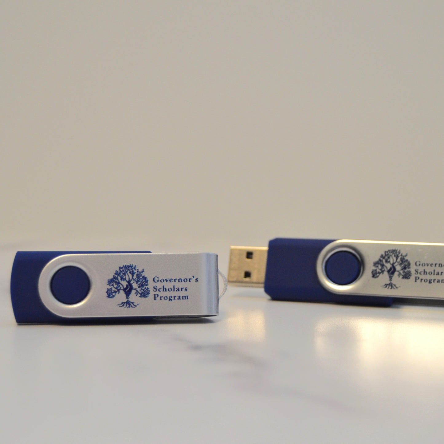 GSP Flash Drive - Blank