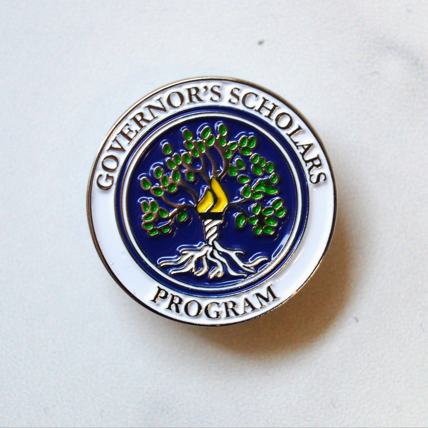 Enamel Pin w/ Magnet Back